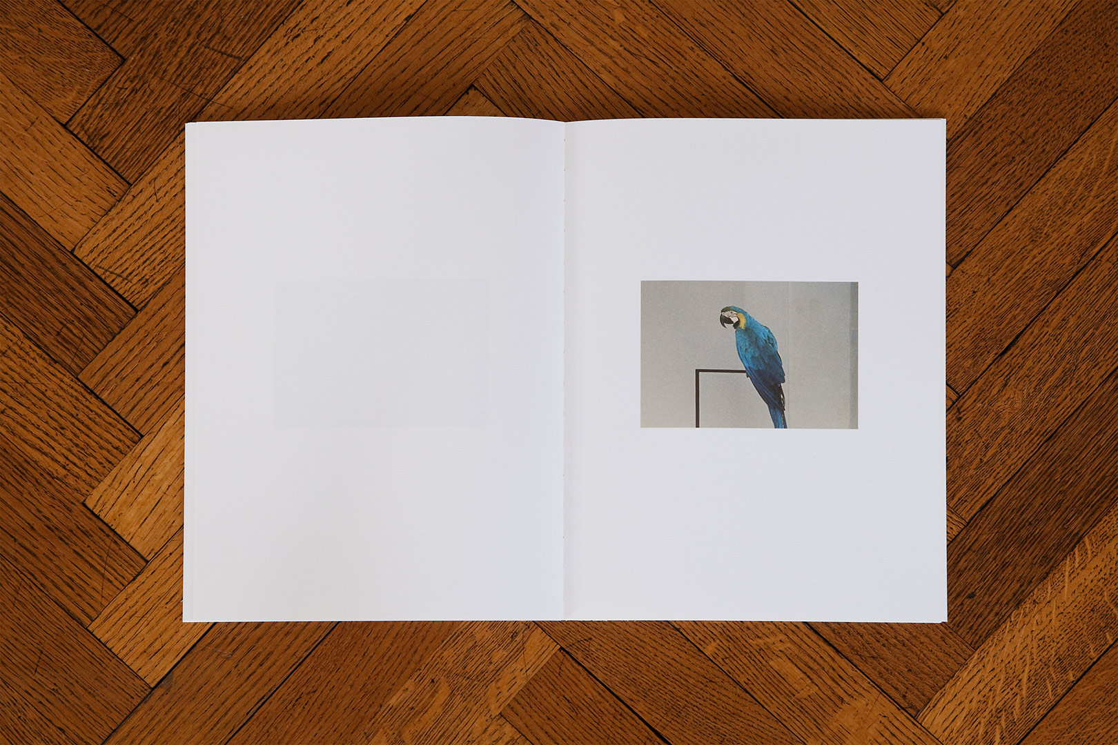 Haris Epaminonda – Chapters I-XXX | Humboldt Books