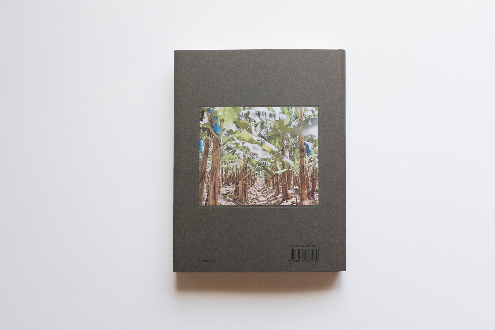 Matteo Campagnoli, Stefano Graziani – Dispacci dai Caraibi | Humboldt Books