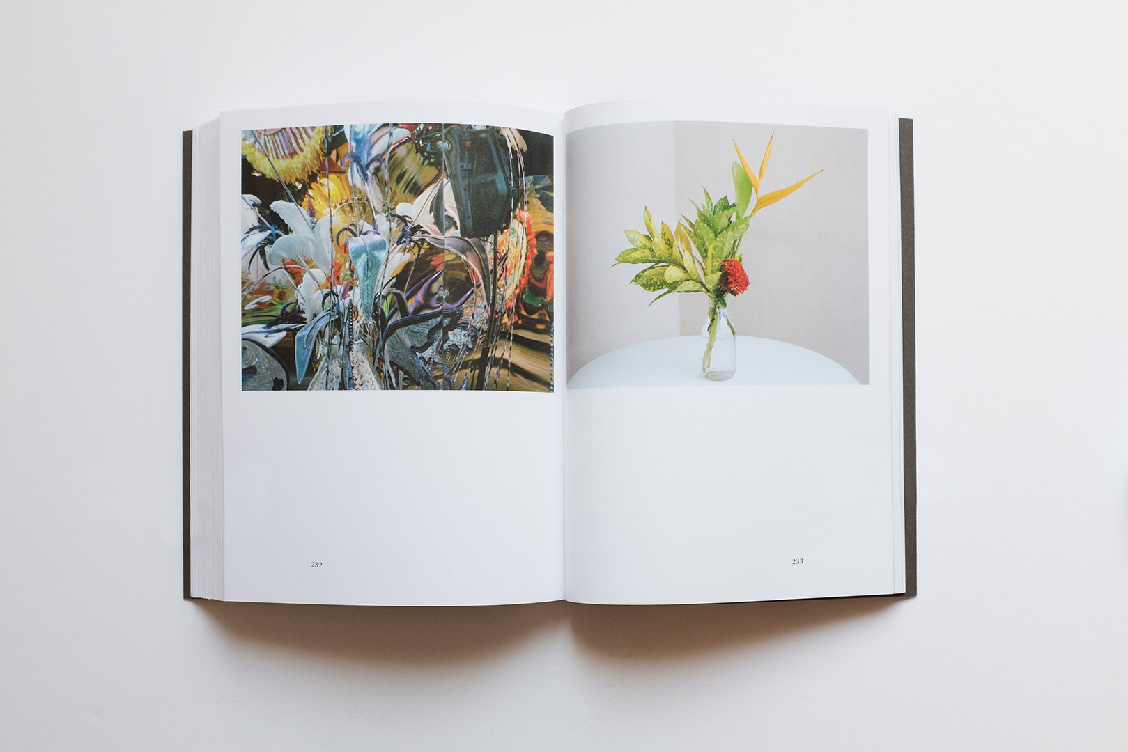 Matteo Campagnoli, Stefano Graziani – Dispacci dai Caraibi | Humboldt Books