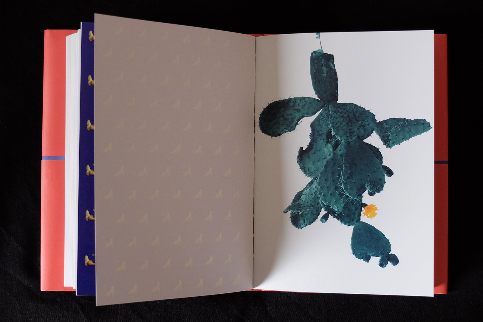 Antonio Rovaldi – Orizzonte in Italia | Humboldt Books