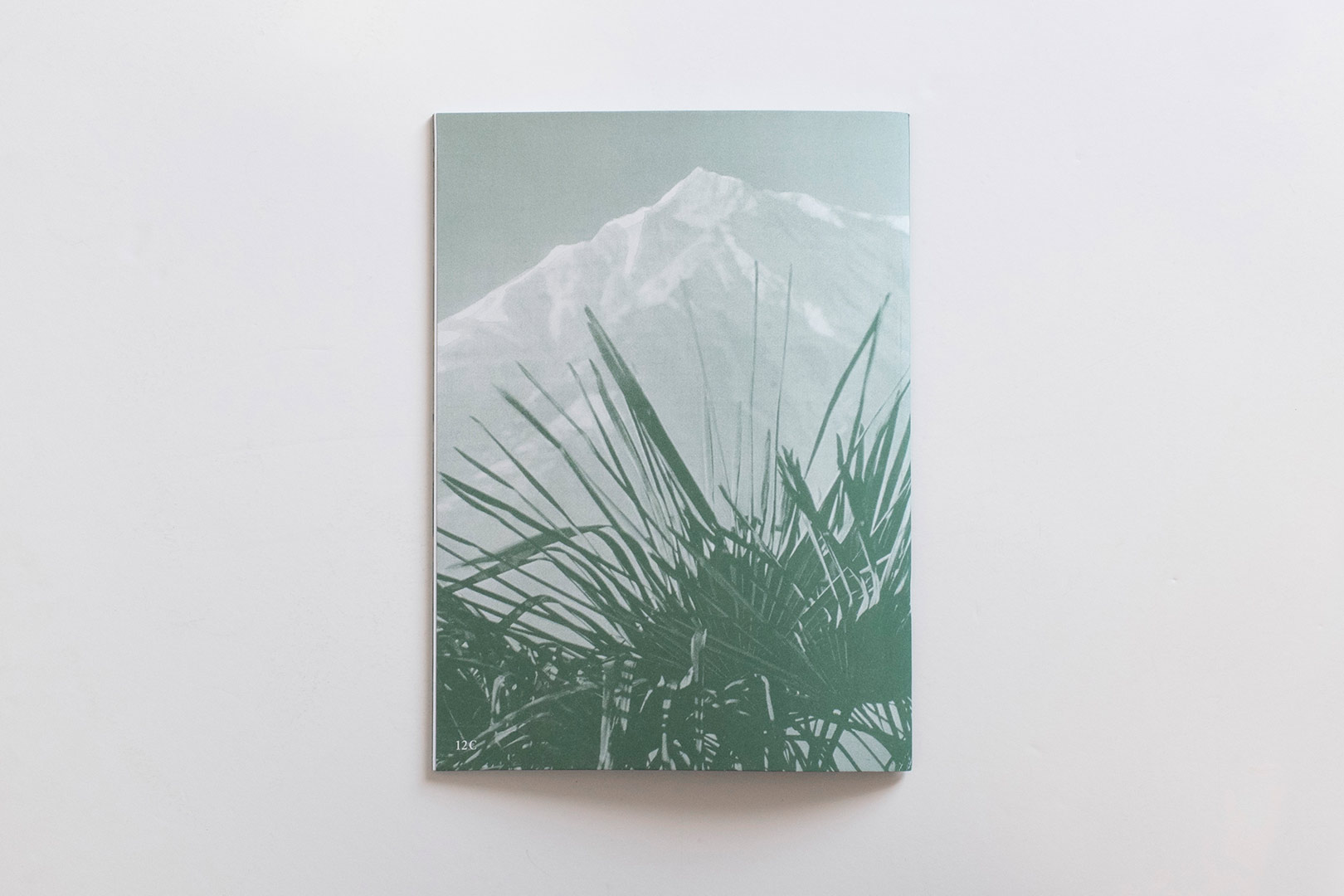 Nanna Debois Buhl – Plam Tree Studies | Humboldt Books