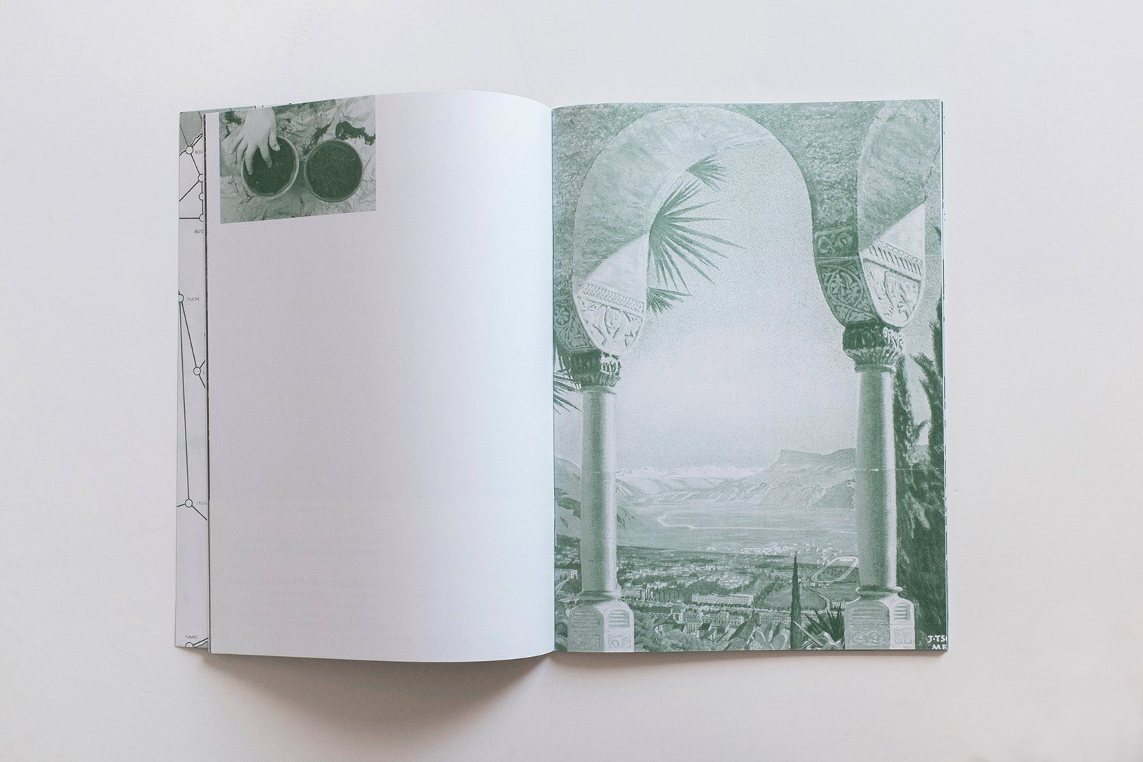 Nanna Debois Buhl – Plam Tree Studies | Humboldt Books