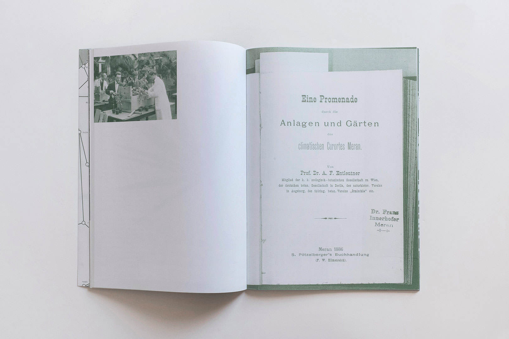 Nanna Debois Buhl – Plam Tree Studies | Humboldt Books