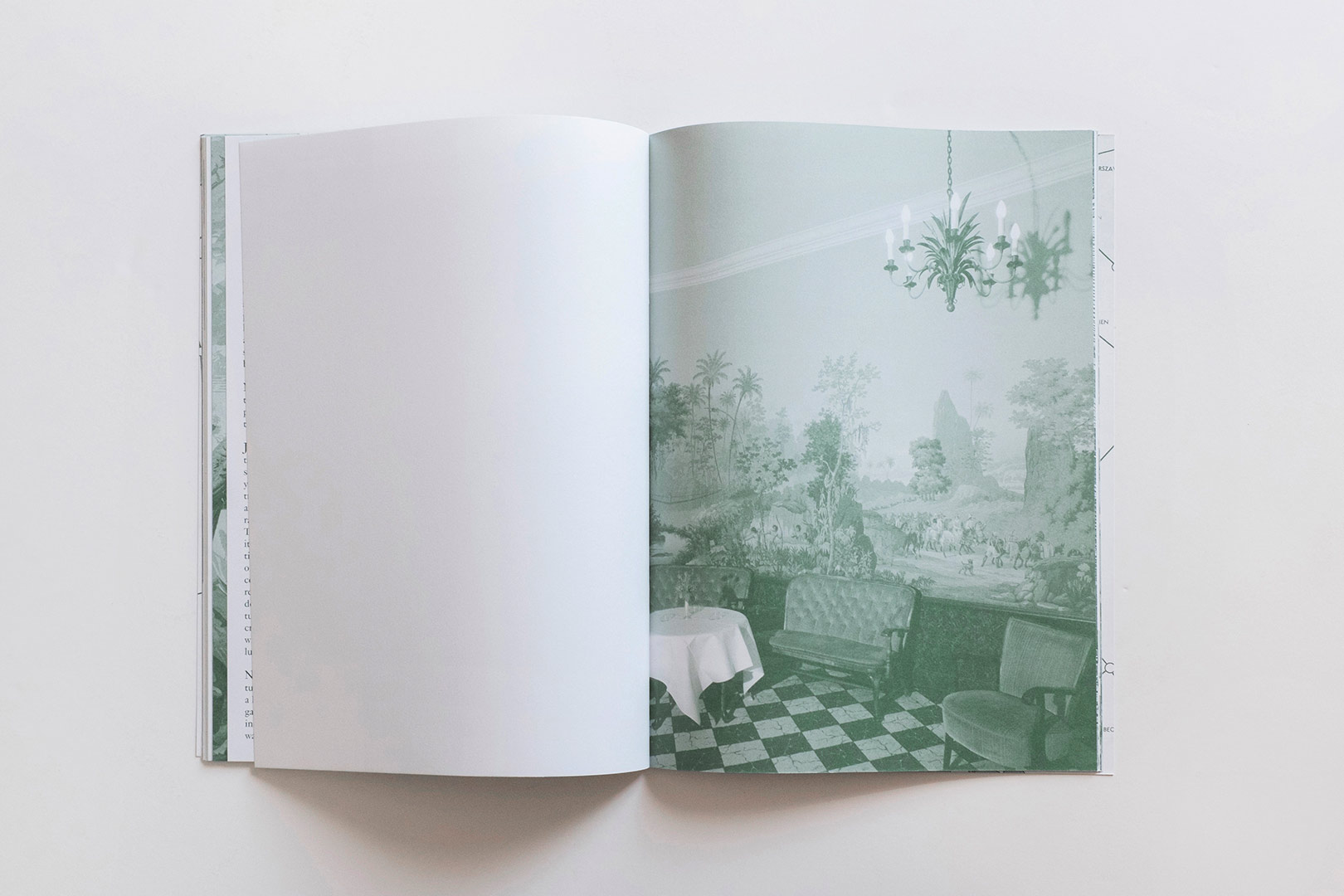 Nanna Debois Buhl – Plam Tree Studies | Humboldt Books