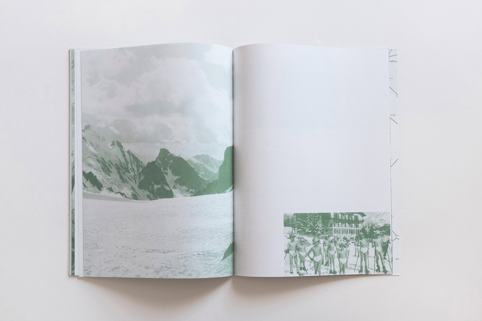 Nanna Debois Buhl – Plam Tree Studies | Humboldt Books