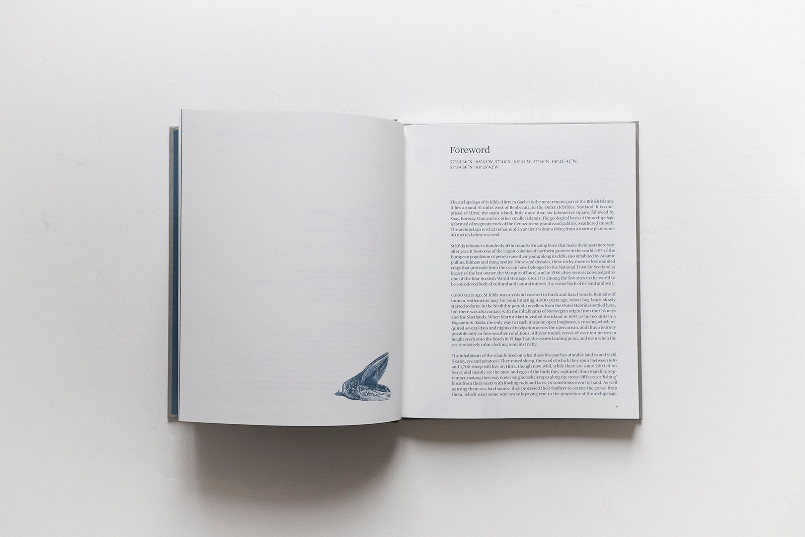 Claudia Losi – How do I imagine being there EN | Humboldt Books