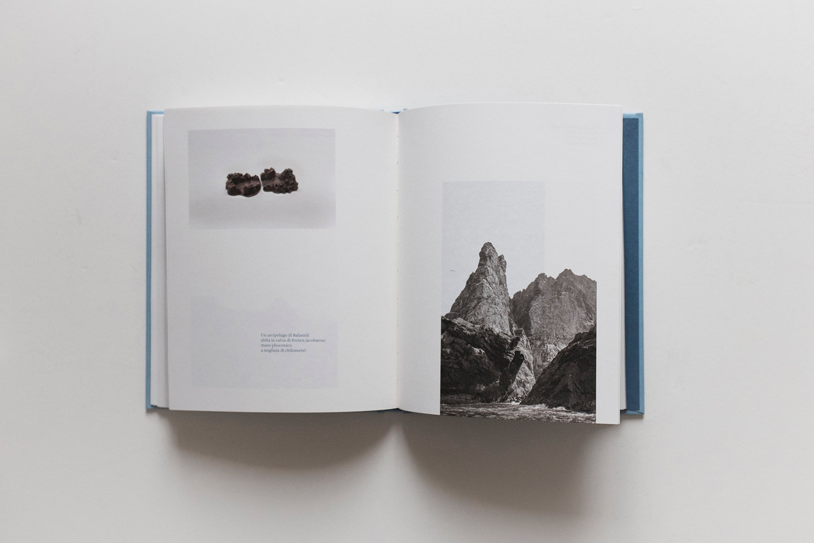 Claudia Losi – How do I imagine being there IT | Humboldt Books