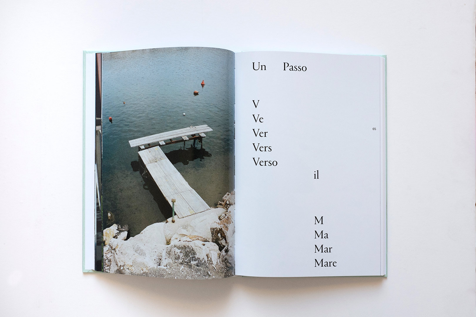 Roman Signer – A Step Towards the Sea | Humboldt Books