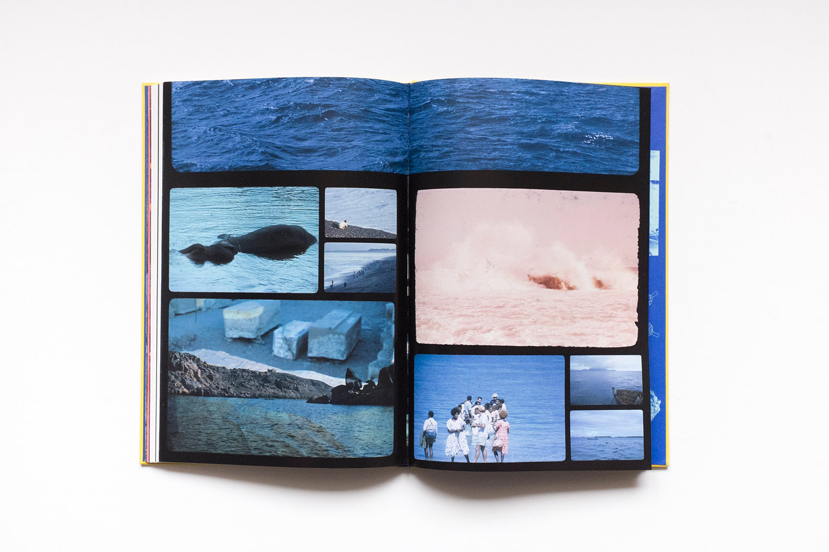 Donatella Bernardi – Into your solar plexus | Humboldt Books