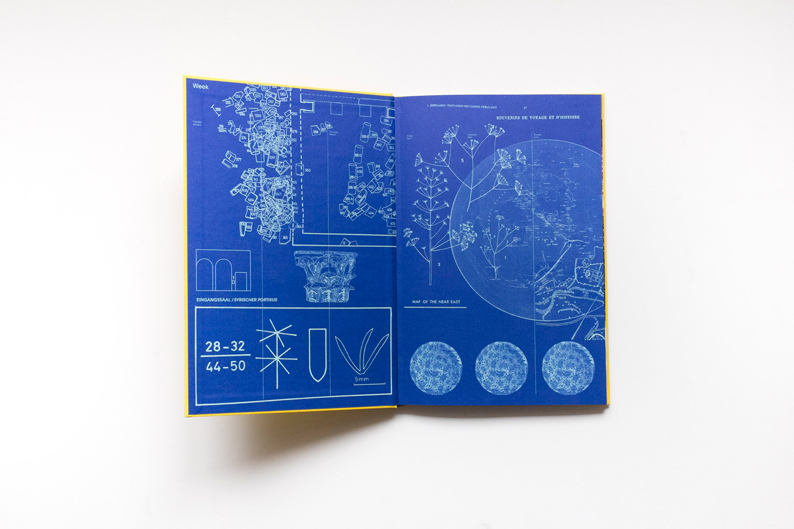 Donatella Bernardi – Into your solar plexus | Humboldt Books