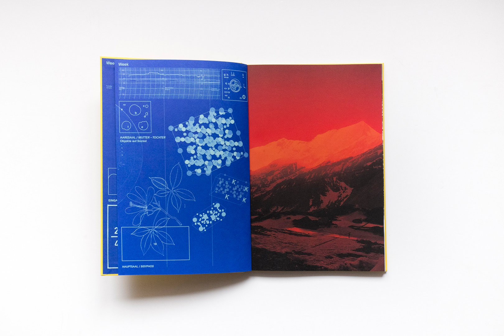 Donatella Bernardi – Into your solar plexus | Humboldt Books