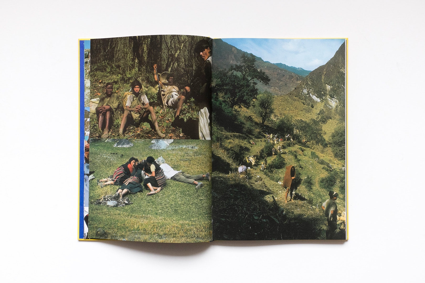 Donatella Bernardi – Into your solar plexus | Humboldt Books