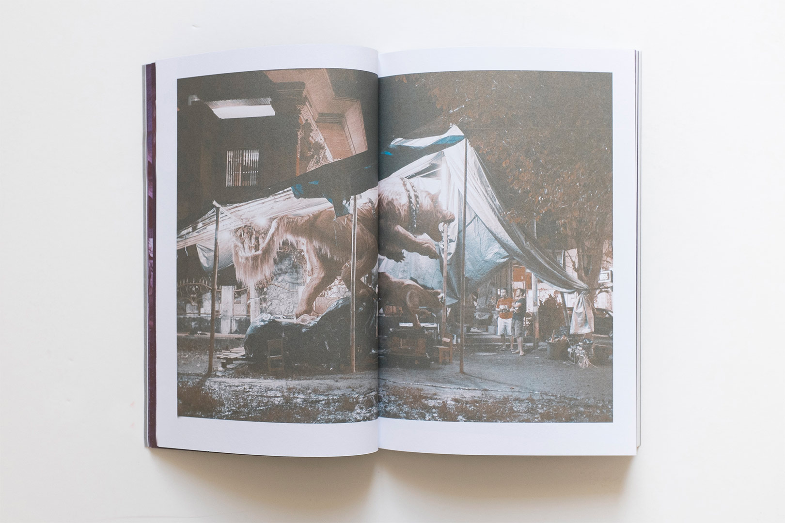 Giovanna Silva, Emanuele Trevi – Ontani a Bali | Humboldt Books