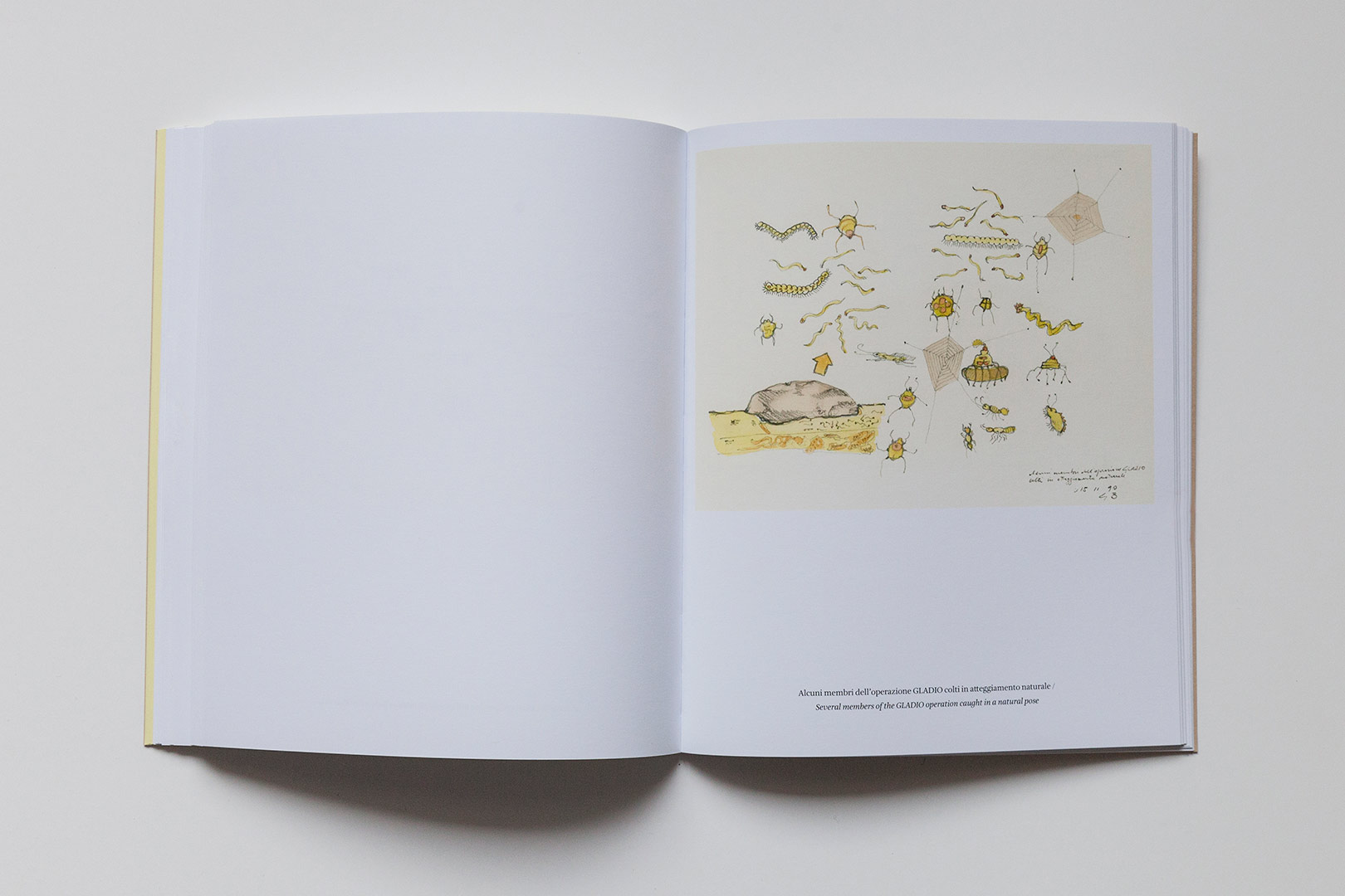 Gianfranco Baruchello, Michele Mari – Sogni | Humboldt Books