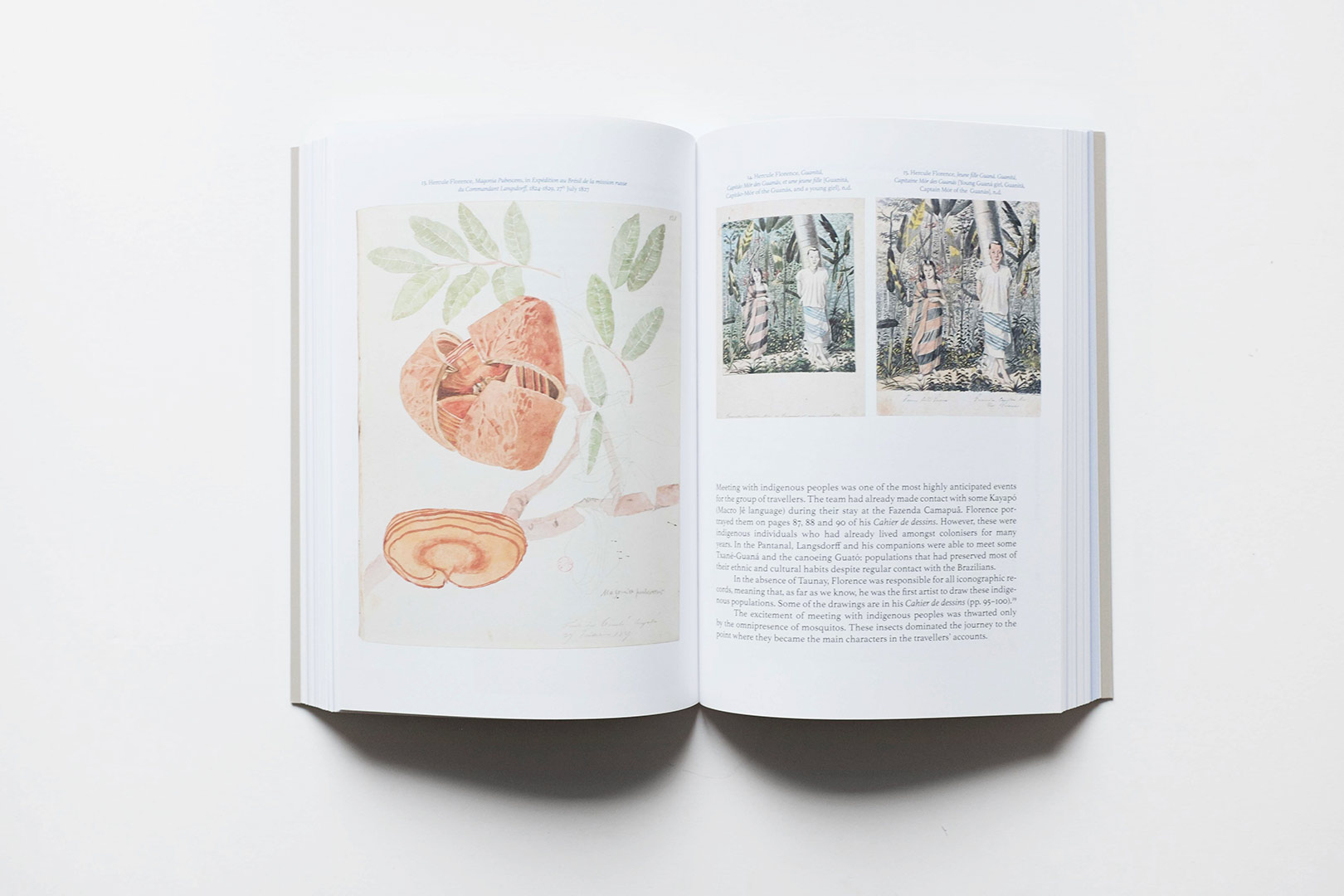 Hercule Florence – La Nouveau Robinson EN | Humboldt Books