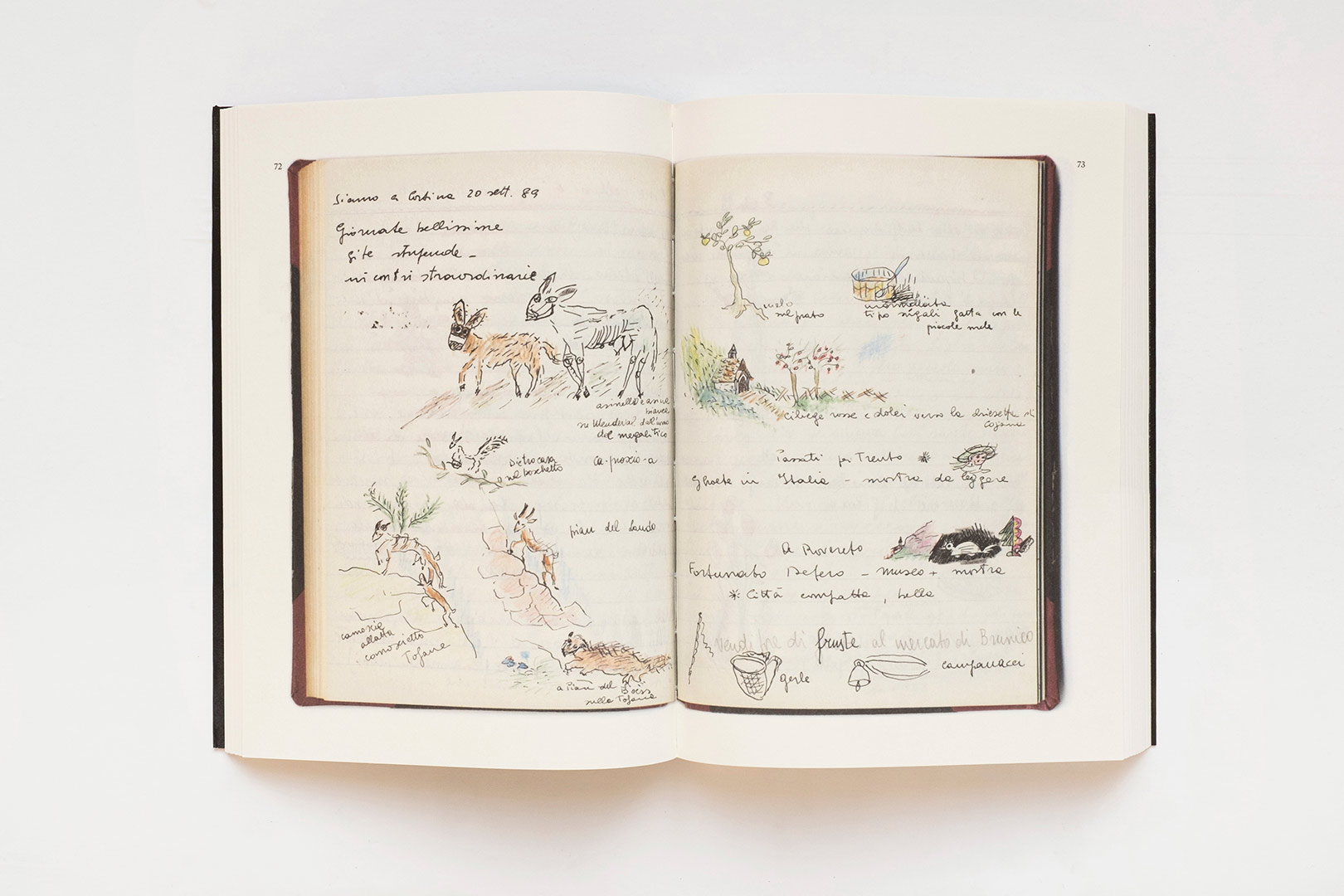 Yervant Gianikian, Angela Ricci Lucchi – The Arrow of Time | Humboldt Books