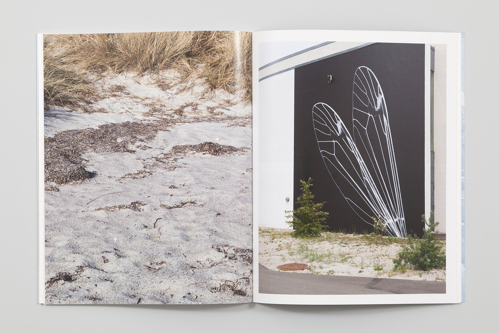 Nanna Debois Buhl – Intervals and forms of stones of stars | Humboldt Books