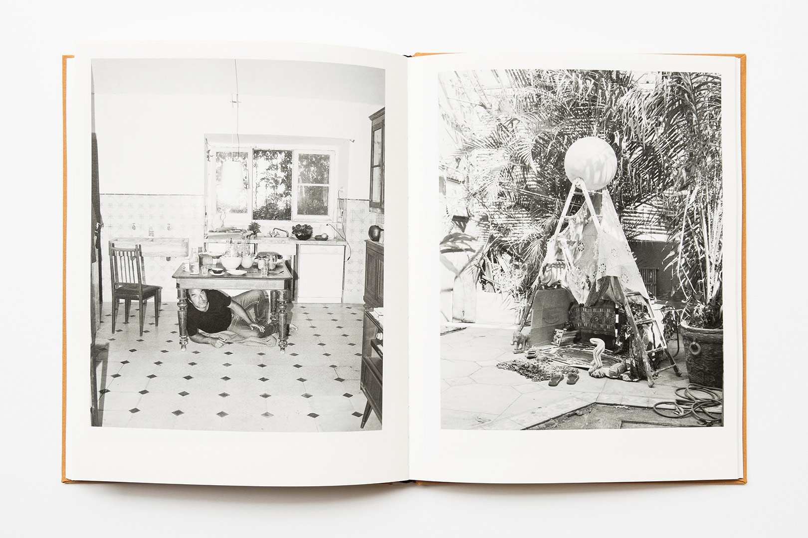 Joanna Piotrowska – Frantic | Humboldt Books