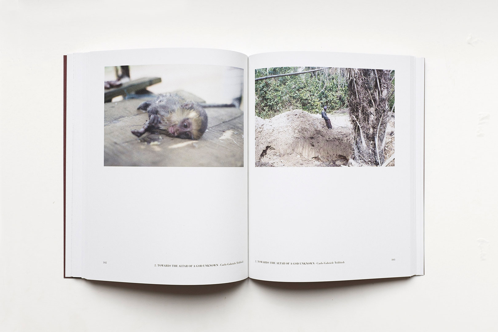 Federico Lodoli, Carlo Gabriele Tribbioli – Towards the altar of a God unknown | Humboldt Books