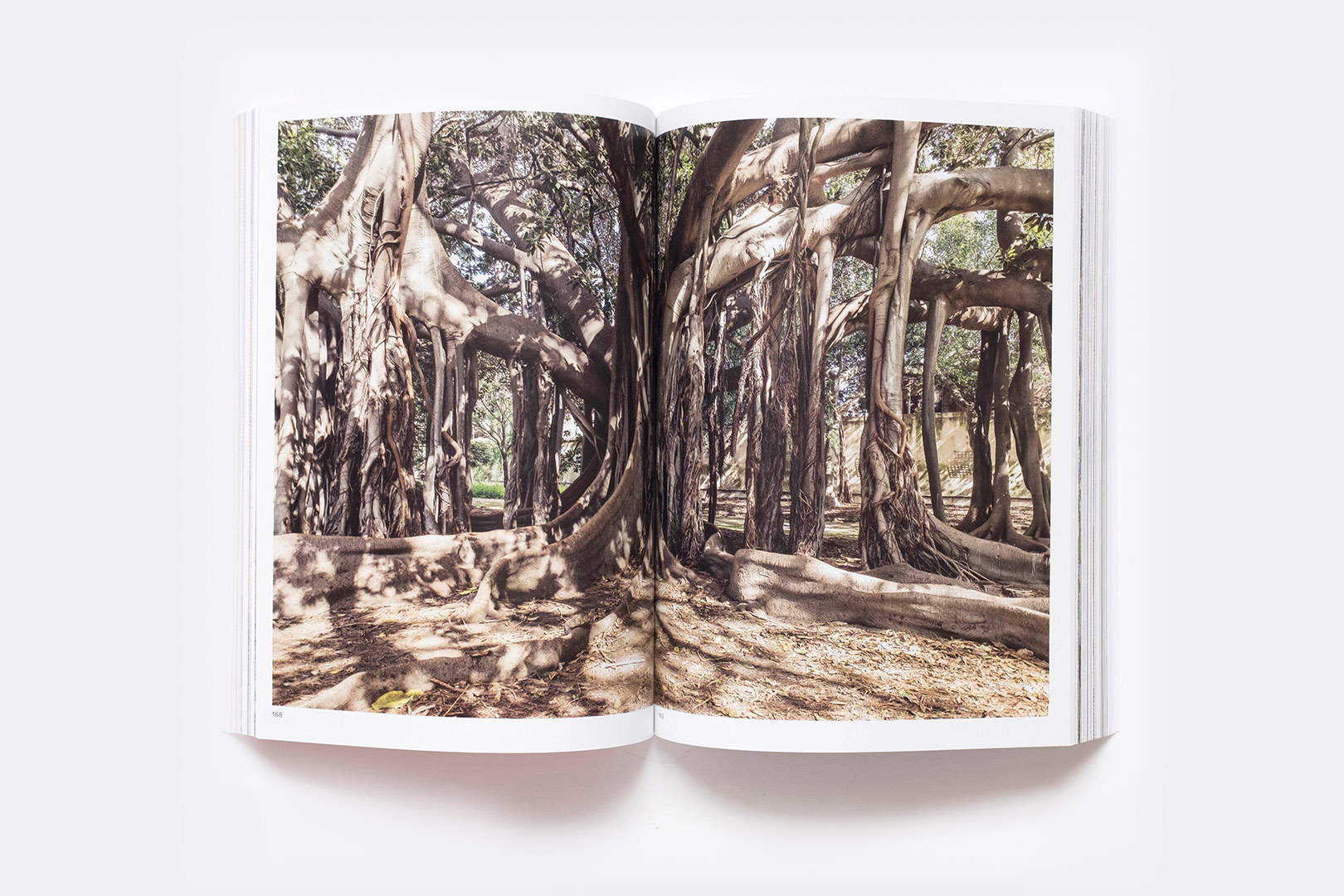 OMA – Palermo Atlas: Manifesta12 EN | Humboldt Books