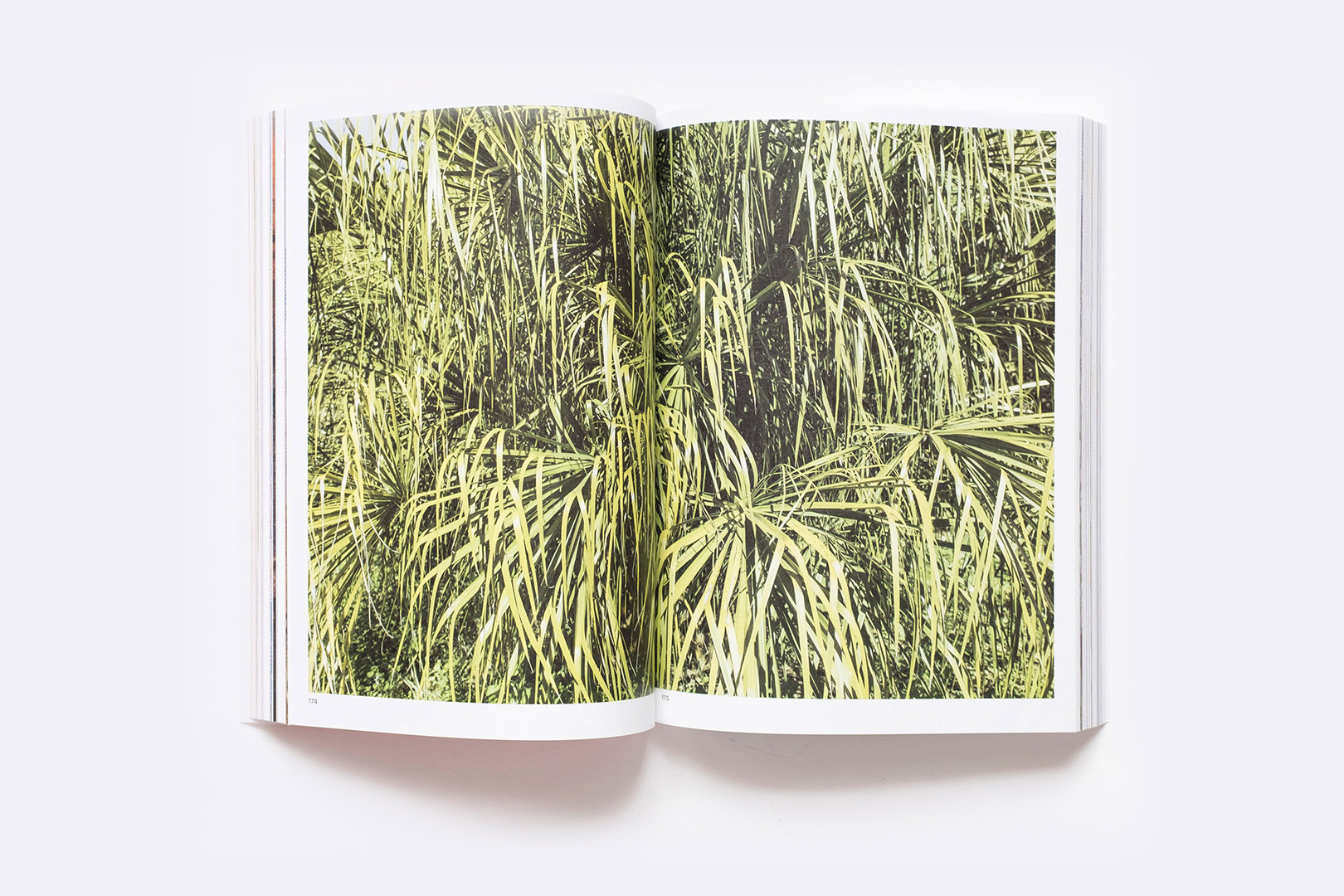 OMA – Palermo Atlas: Manifesta12 EN | Humboldt Books