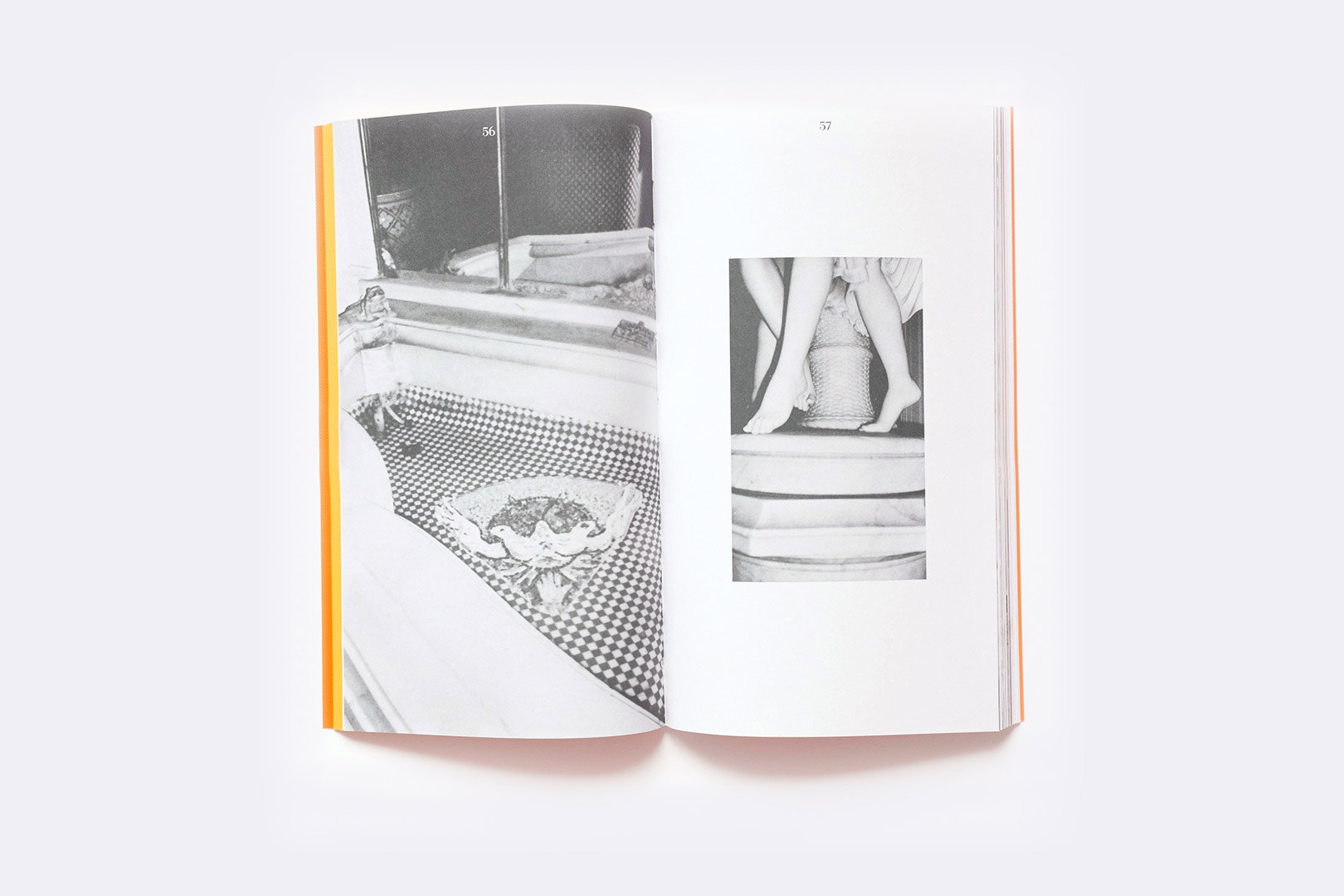 Luca Trevisani – Via Roma 398 Palermo | Humboldt Books