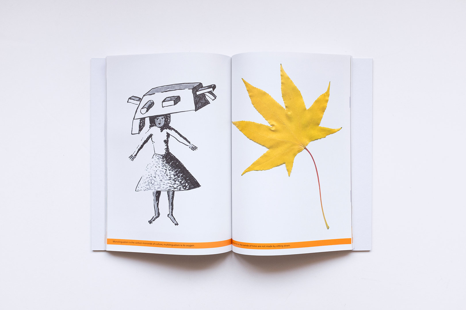 Nathalie Du Pasquier – The strange order of things | Humboldt Books