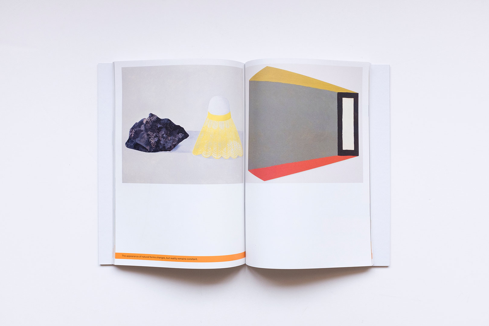 Nathalie Du Pasquier – The strange order of things | Humboldt Books