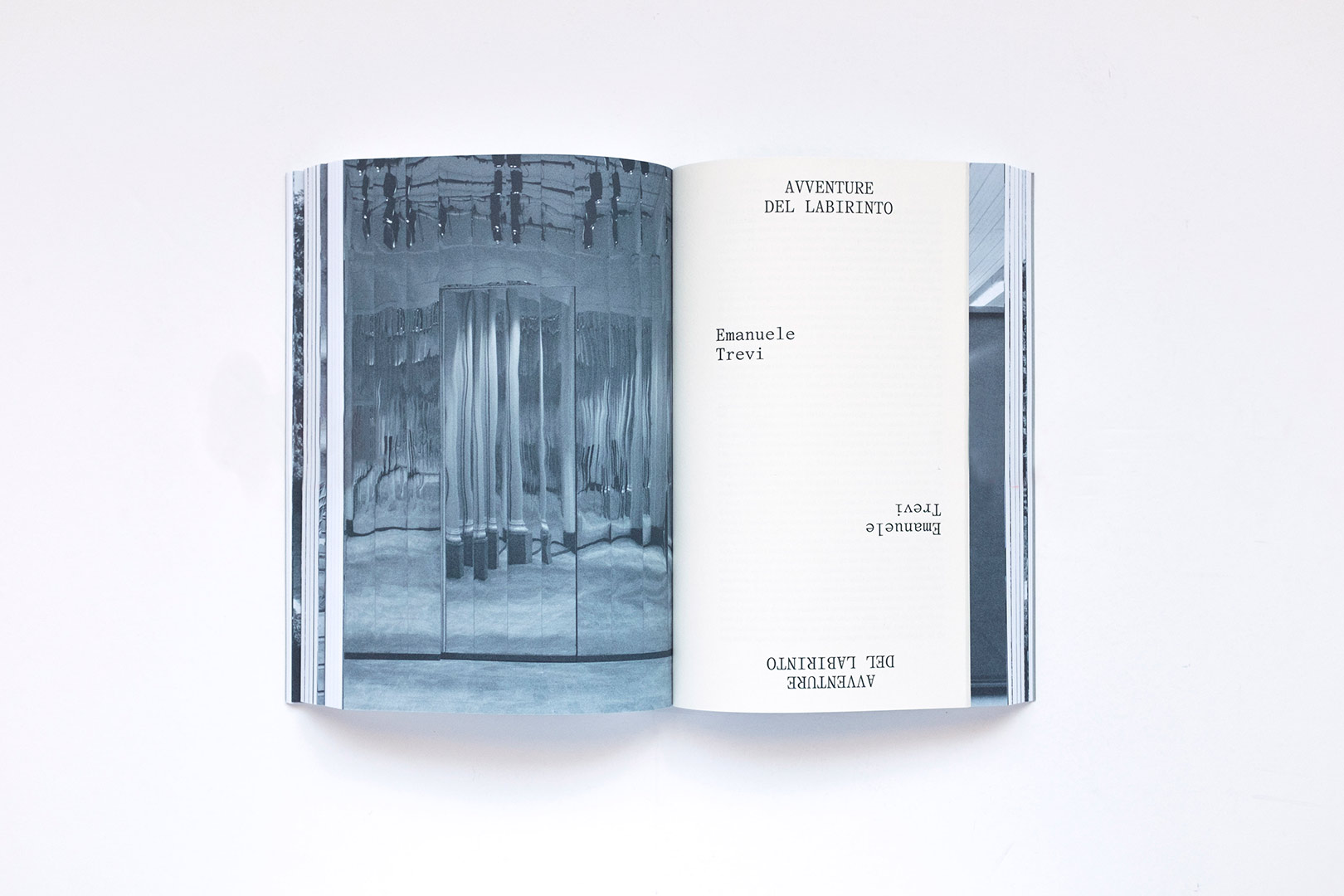 Milovan Farronato – Neither Nor: The challenge to the Labyrinth | Humboldt Books