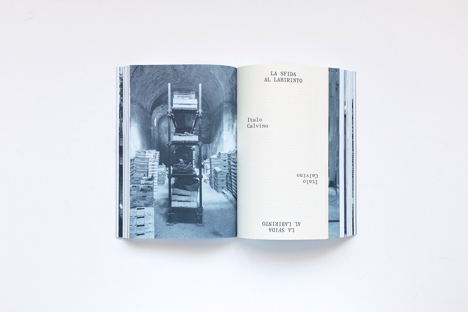 Milovan Farronato – Neither Nor: The challenge to the Labyrinth | Humboldt Books