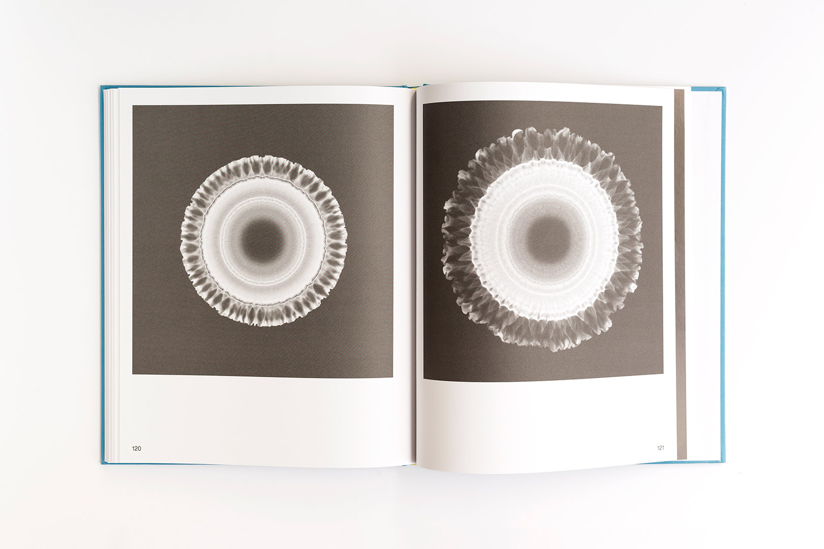 Nanna Debois Buhl – Cloud Behavior | Humboldt Books