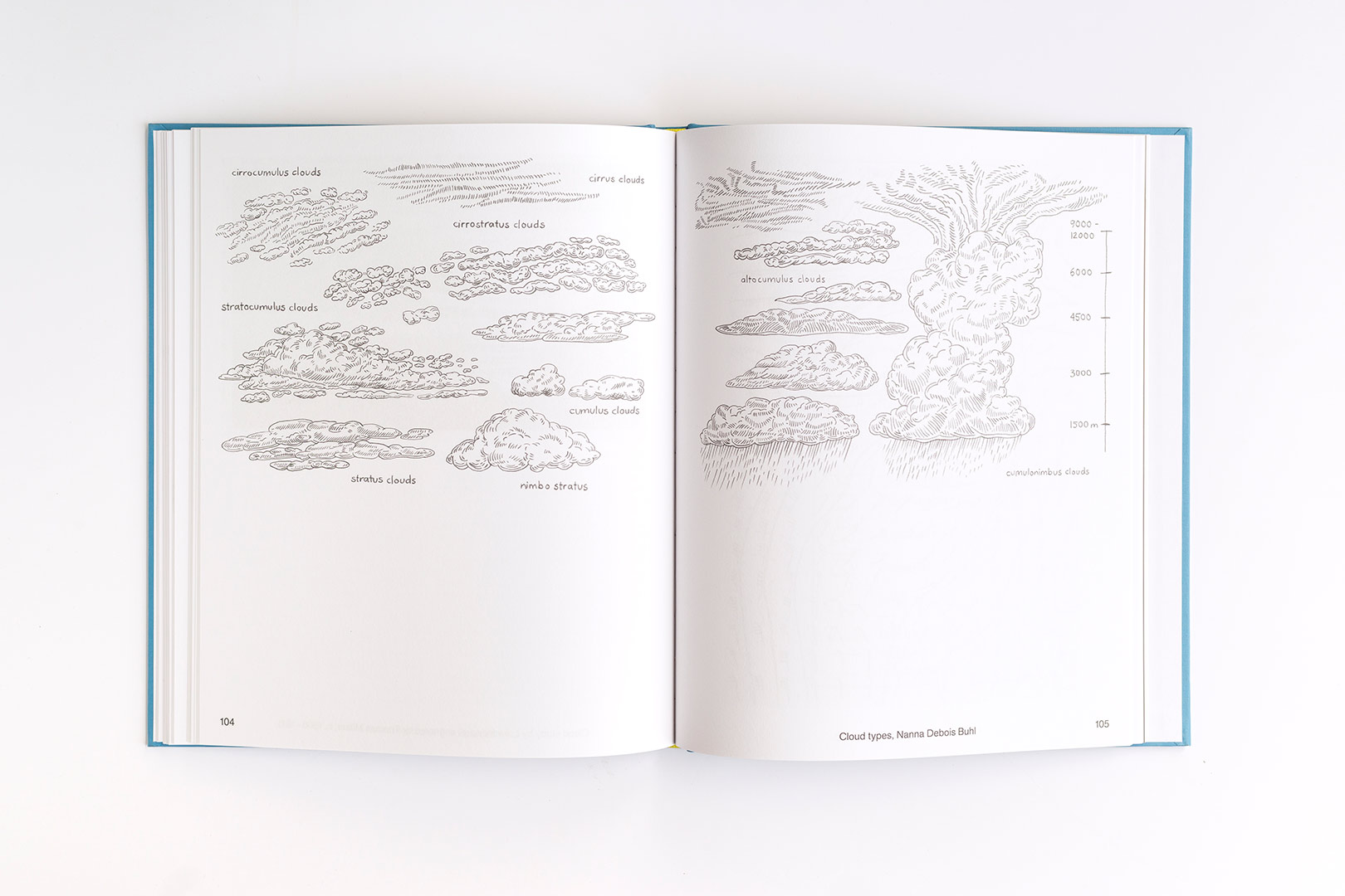 Nanna Debois Buhl – Cloud Behavior | Humboldt Books