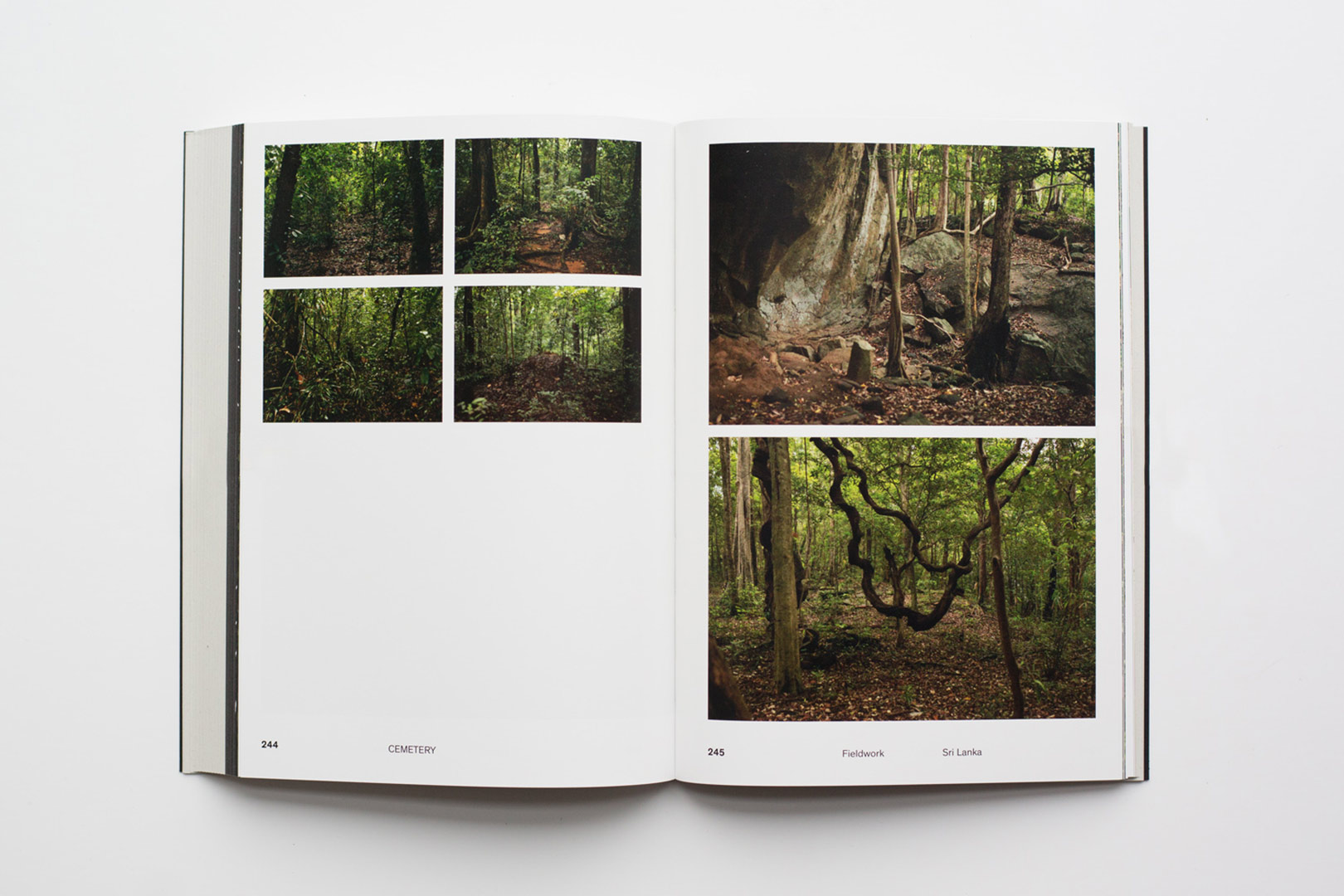 Carlos Casas – Cemetery | Humboldt Books