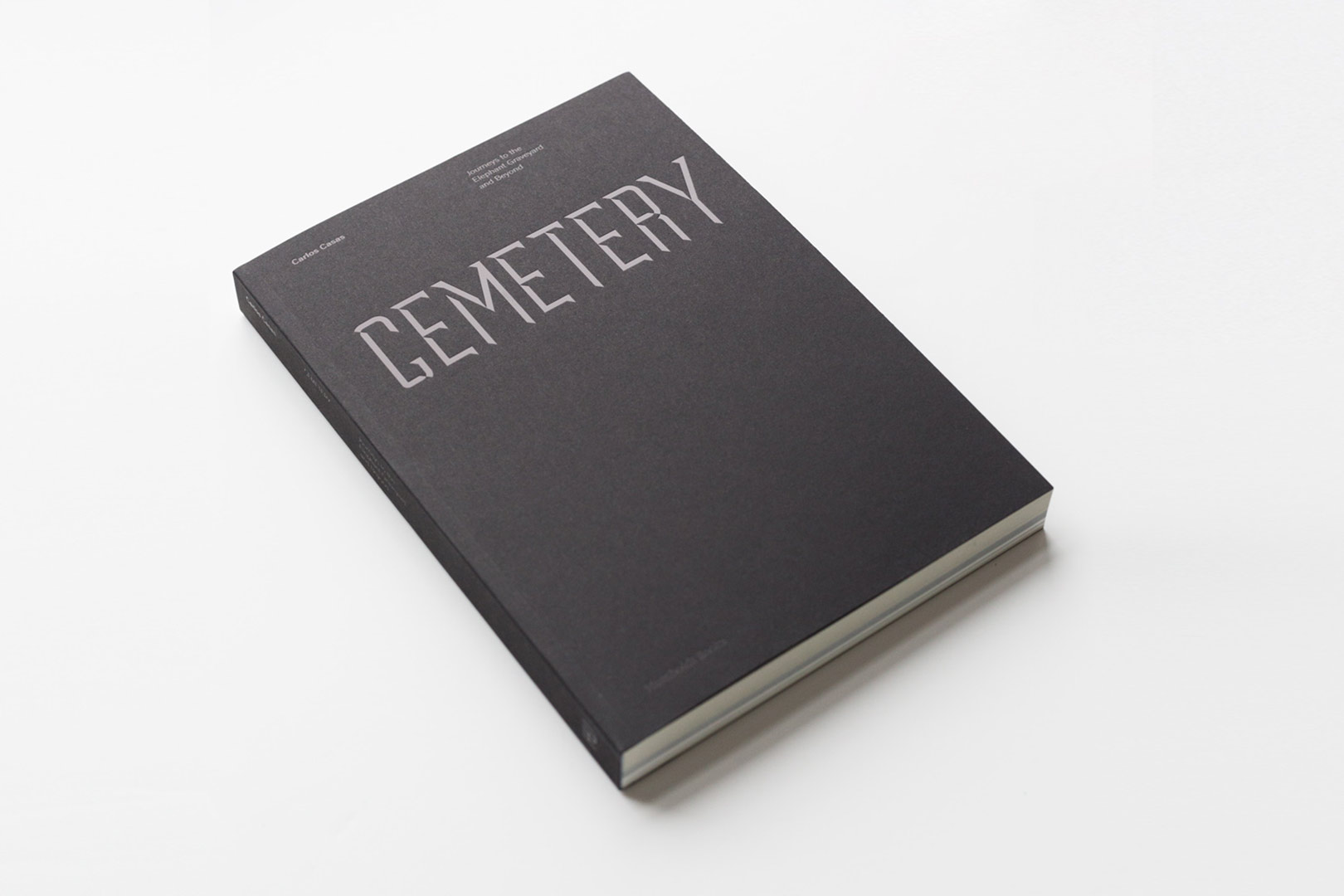 Carlos Casas – Cemetery | Humboldt Books