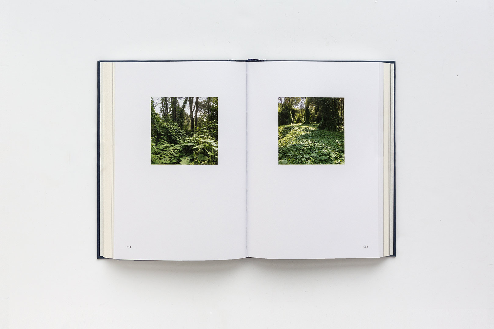 Giorgio Andreotta Calò –Gloria | Humboldt Books