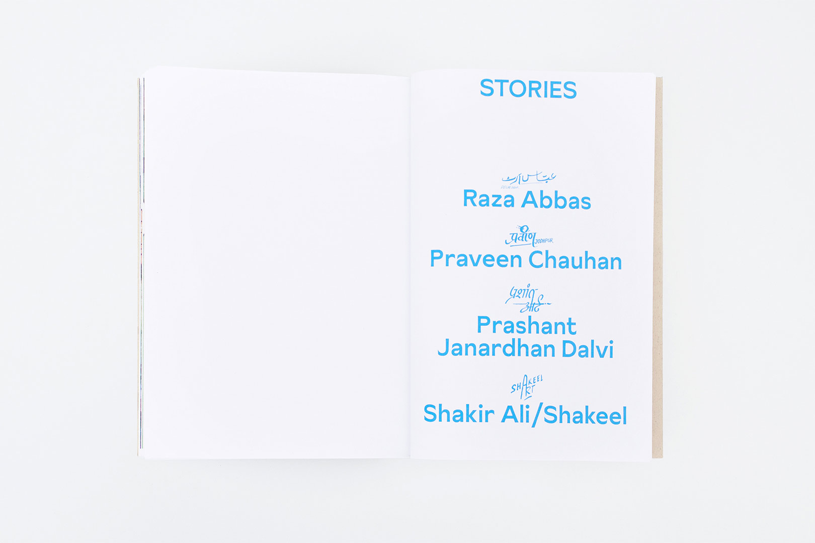 Aradhana Seth – Sadak: Hand painted street signs in India | Humboldt Books