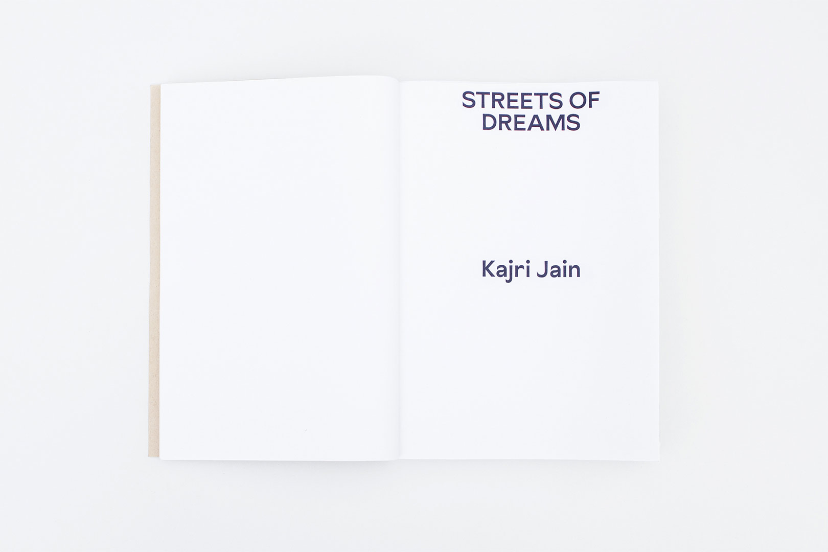 Aradhana Seth – Sadak: Hand painted street signs in India | Humboldt Books