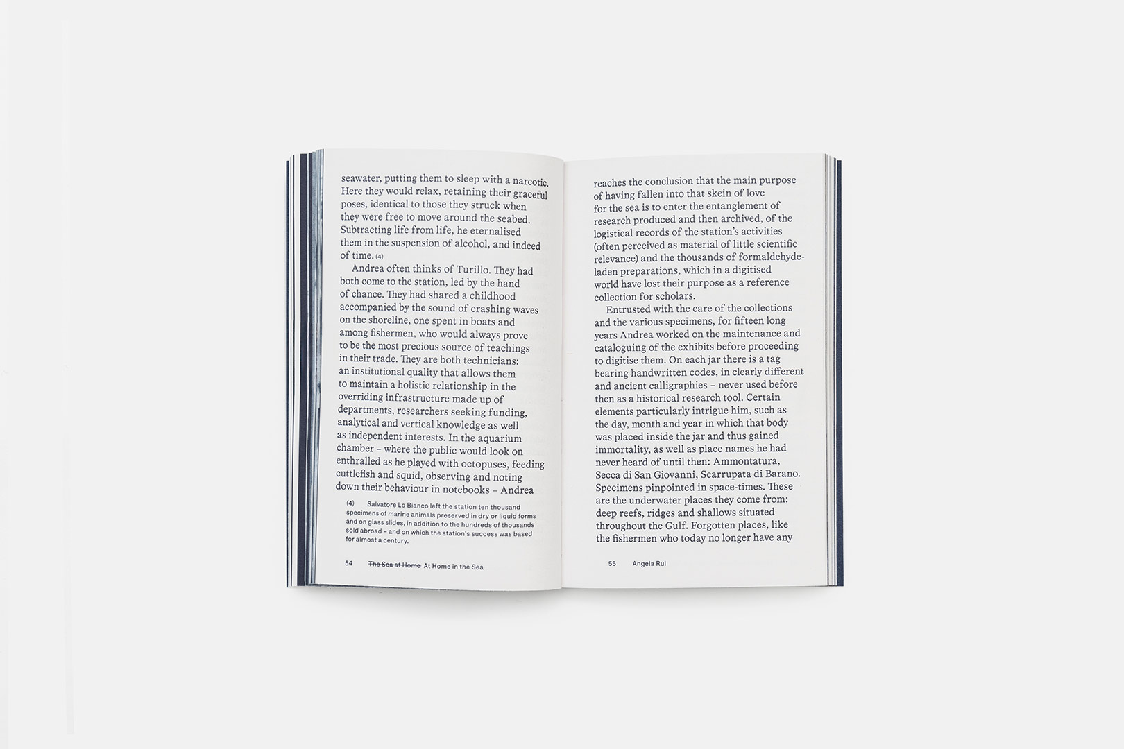 Louise E. Carver, Angela Rui – Aquarium | Humboldt Books