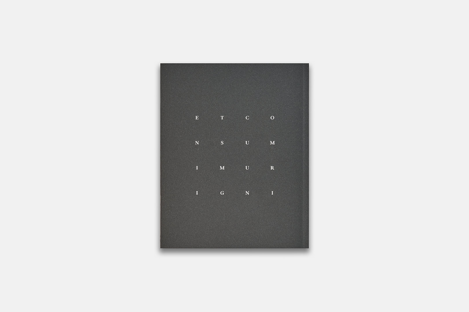 Giorgio Andreotta Calò – in girum imus nocte | Humboldt Books