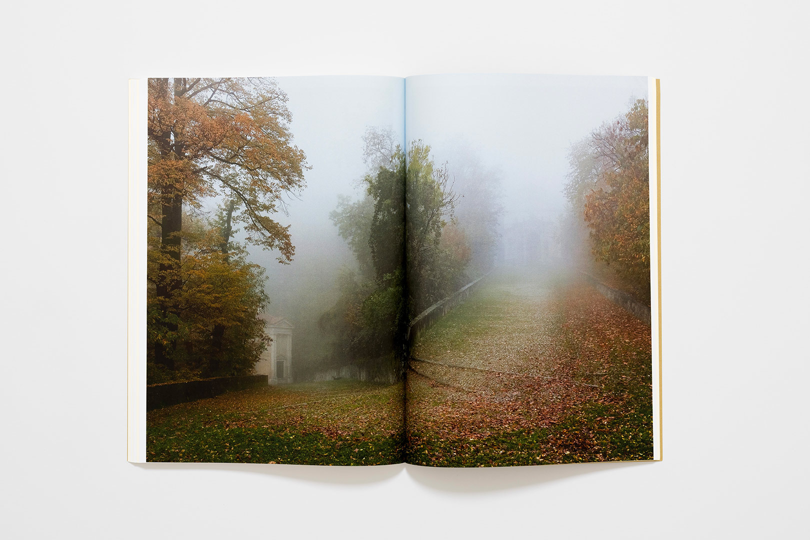 Gili Merin – Analogous Jerusalem | Humboldt Books