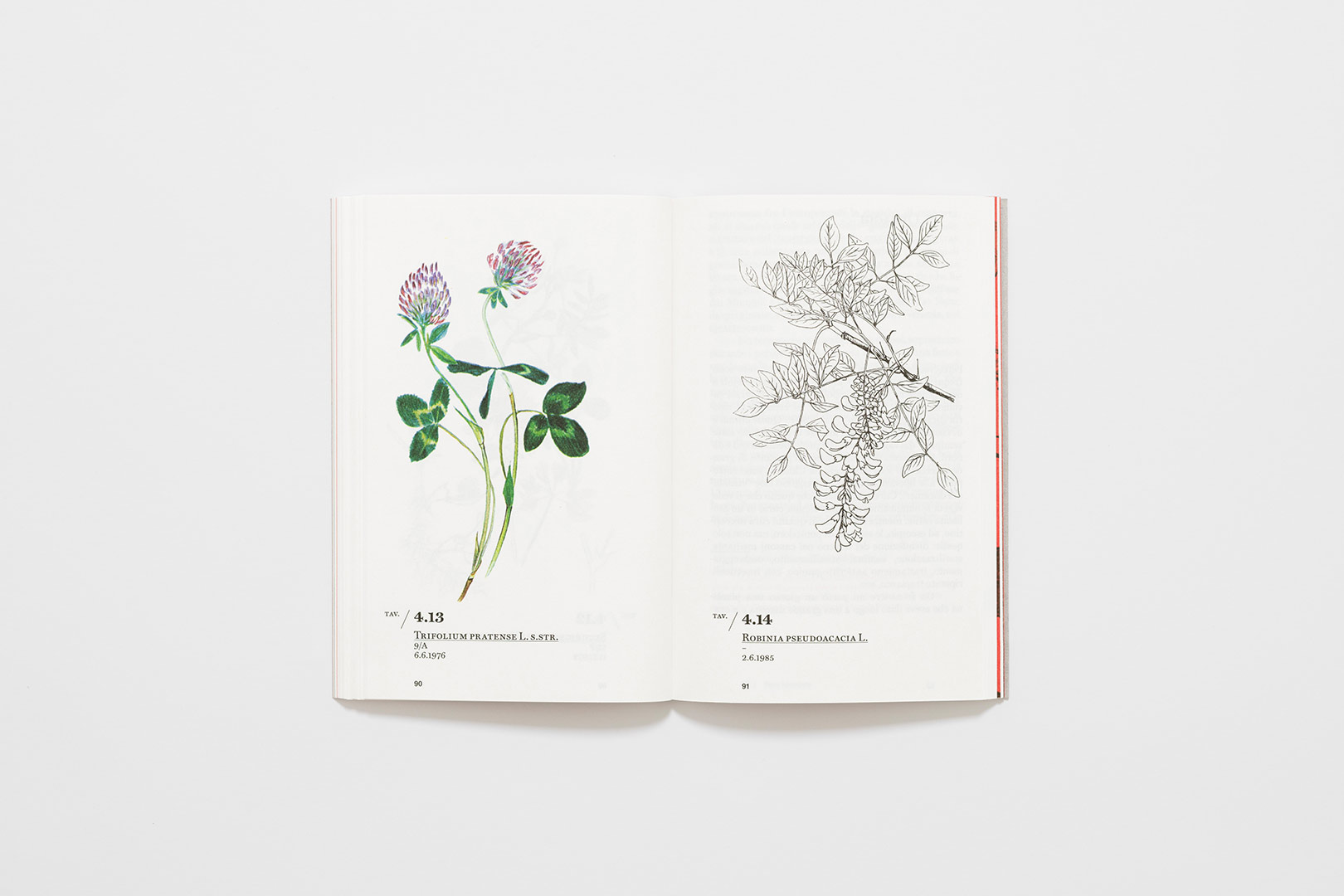 Ernesto Schick – Flora Ferroviaria | Humboldt Books