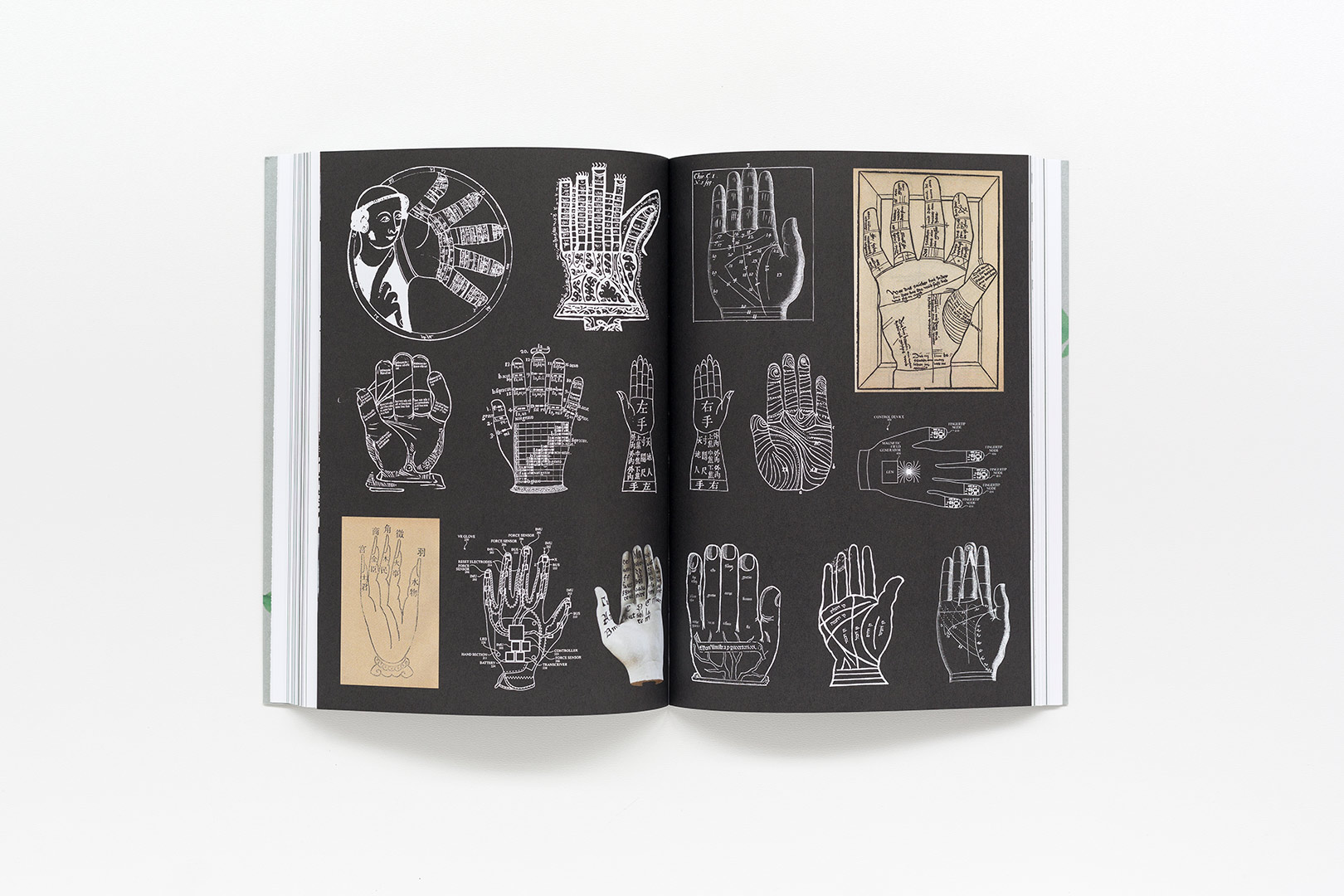 Dixit Algoritzmi – Space Caviar, Sheida Ghomashchi | Humboldt Books