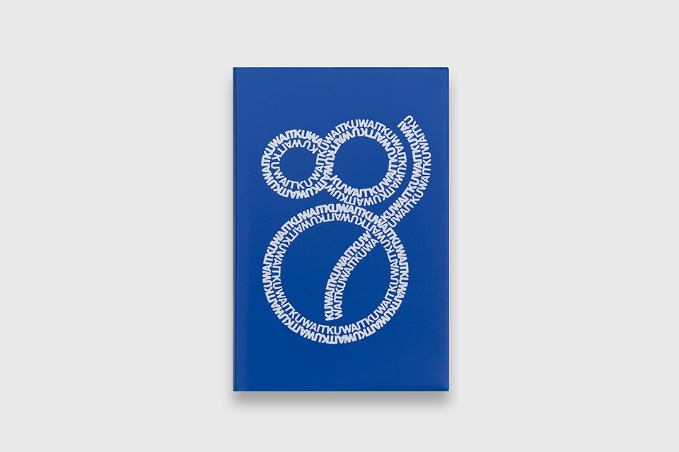 Foreign Architecture / Domestic Policy