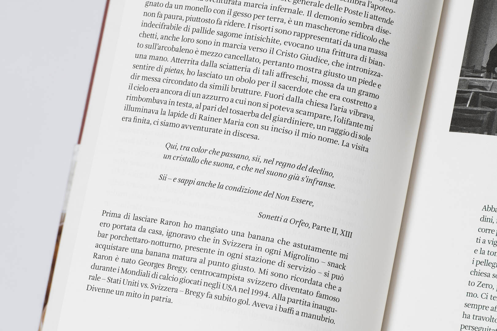 Rosa Matteucci Louis De Belle – Svizzera | Humboldt Books