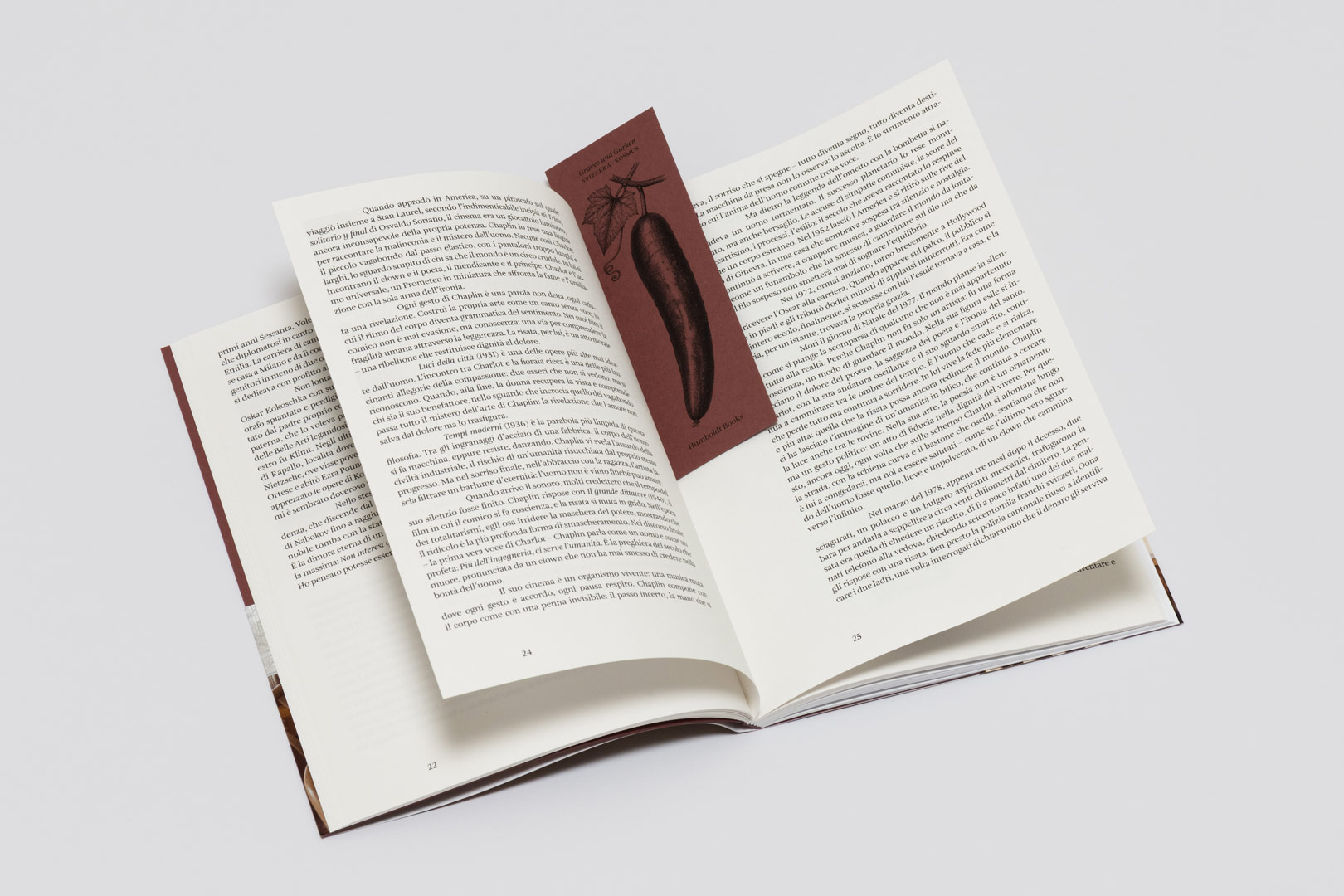 Rosa Matteucci Louis De Belle – Svizzera | Humboldt Books