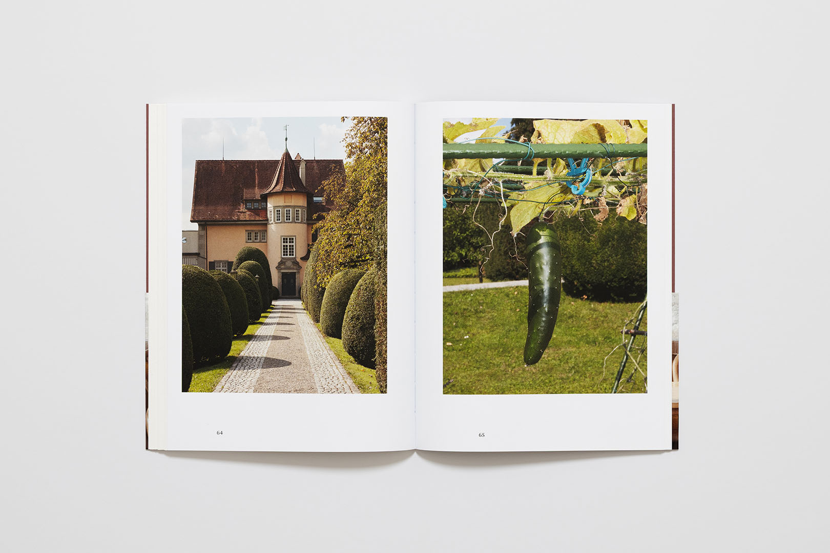 Rosa Matteucci Louis De Belle – Svizzera | Humboldt Books