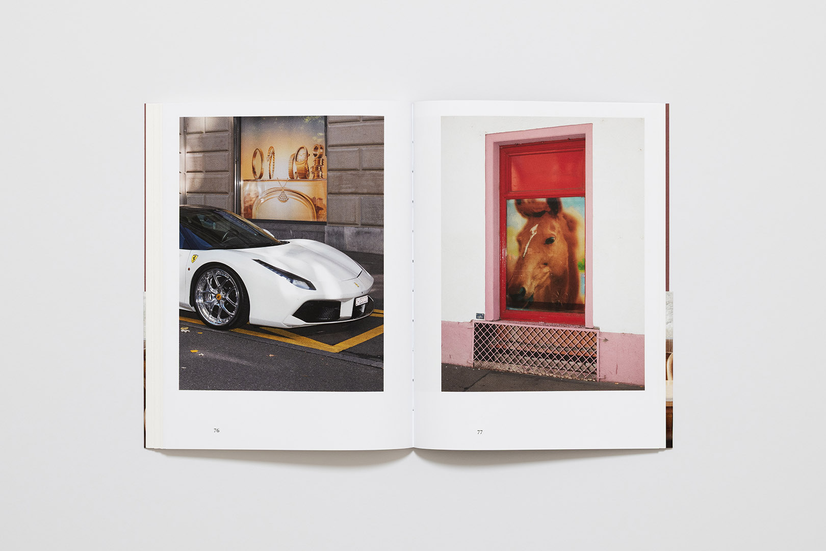 Rosa Matteucci Louis De Belle – Svizzera | Humboldt Books